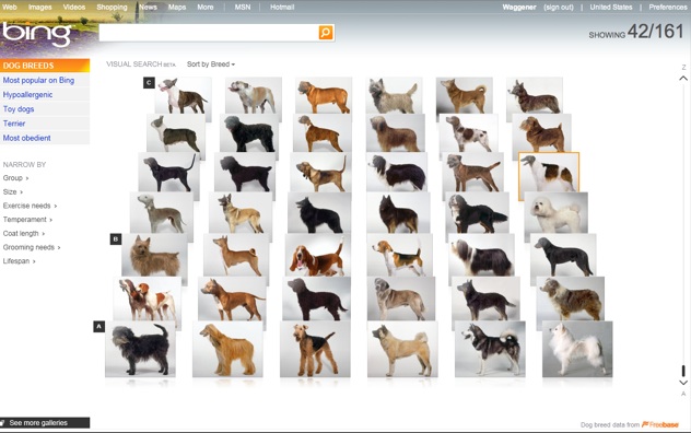 Bing visual search