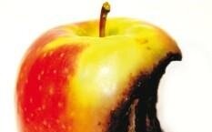 applerotten